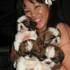 Michi Moore Hawaii > My Smug Mug >  pups